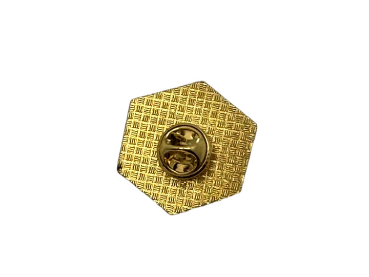 D20 Pin